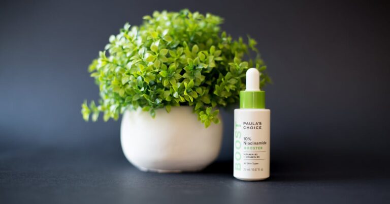 Elegant arrangement of a green plant in a vase alongside a skincare serum bottle on a gray background.